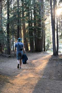 Taft Point, Yosemite National Park