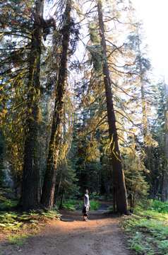 Taft Point, Yosemite National Park